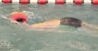 Video Delfinwelle